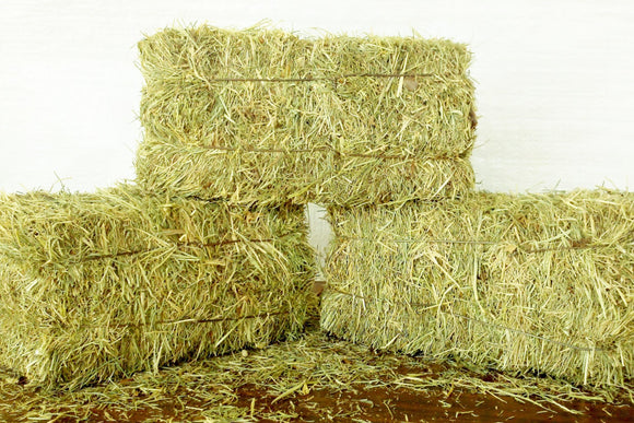 Hay & Straw