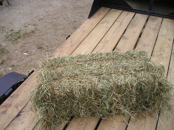 Second Cut Hay