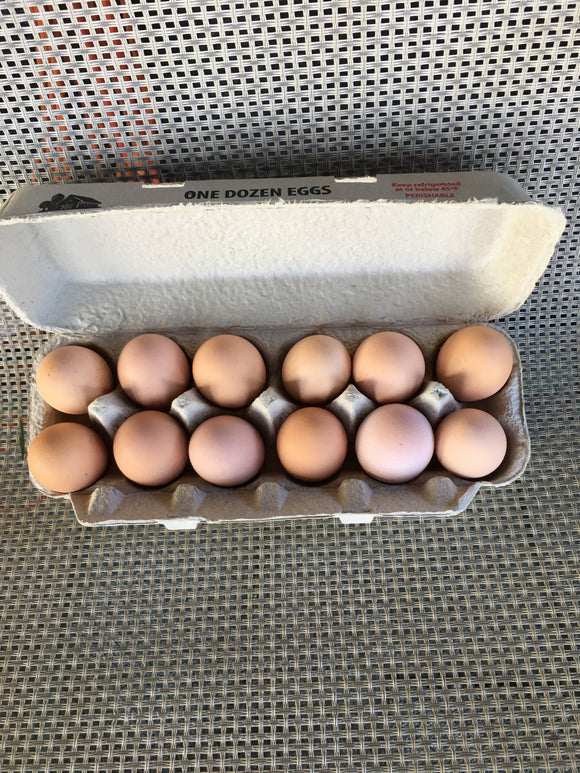 Farm Fresh Eggs