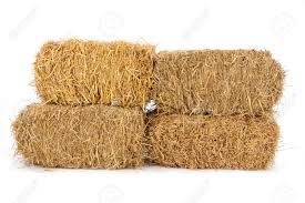 Bale of Straw